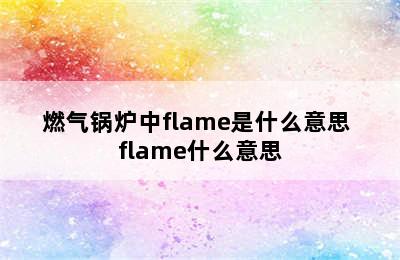 燃气锅炉中flame是什么意思 flame什么意思